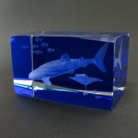 NEW!!　ガラスオブジェ　3Dクリスタル　ジンベエザメ