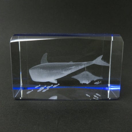 NEW!!　ガラスオブジェ　3Dクリスタル　ジンベエザメ