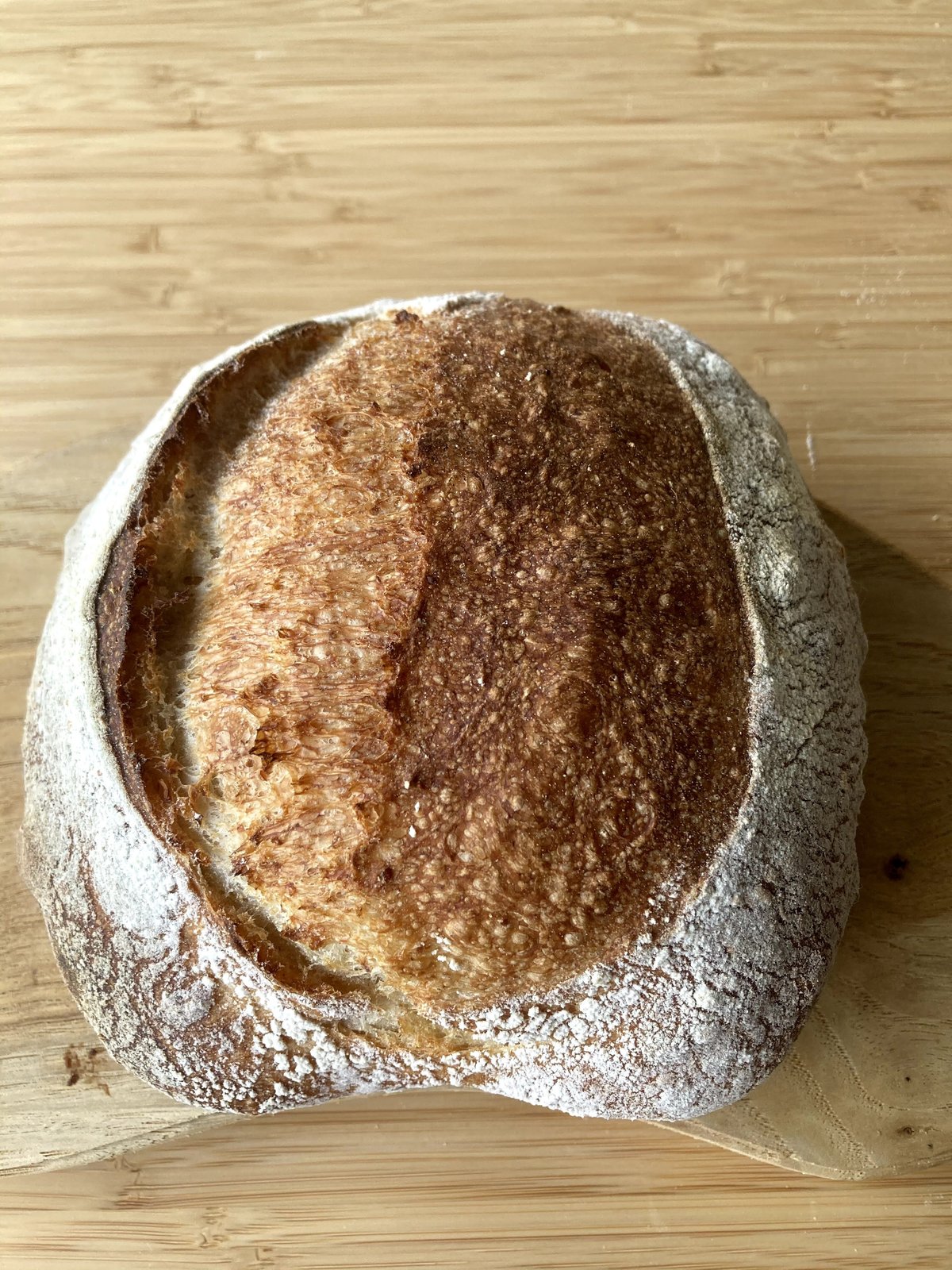 60サイズ』おたのしみパンセット | ヤマビコパン