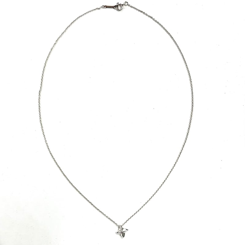 ⚠️サリーとマキー ティファニーエルサペレッティ シリウススター ネックレス ⚠️サリーとマキー ティファニーエルサペレッティ シリウス