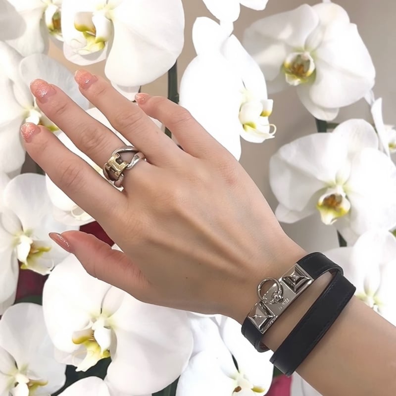HERMES コリエドシアン ドゥブルトゥール パラジウムメッキのメドール