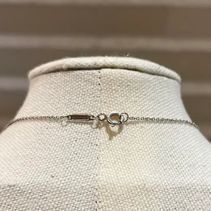 一粒ダイヤ輝く。1543 Tiffany&co ダイヤモンド リターントゥ