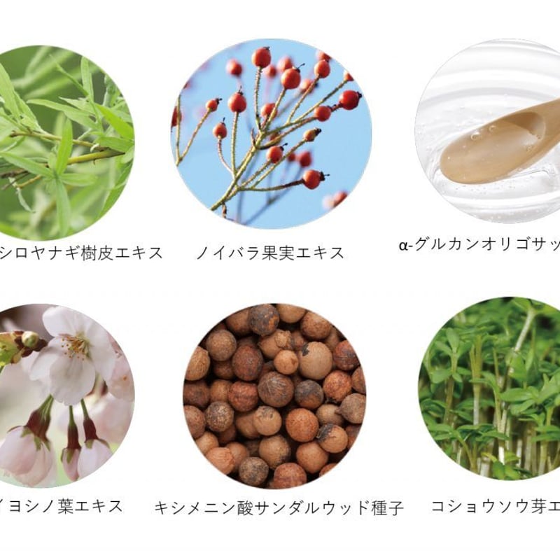 Arlavie化粧水 [Skin Conditioning Toner] 110ml | MF