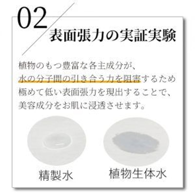 Arlavieクリーム [Brilliant Face Cream] 30g | MFC. shop