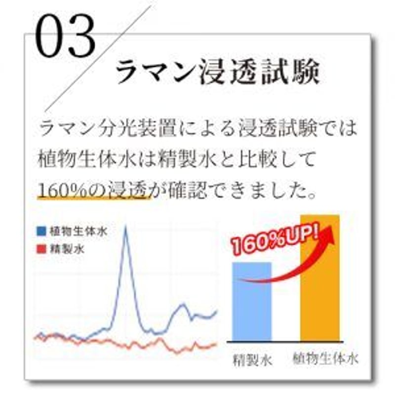 Arlavie化粧水 [Skin Conditioning Toner] 110ml | MF