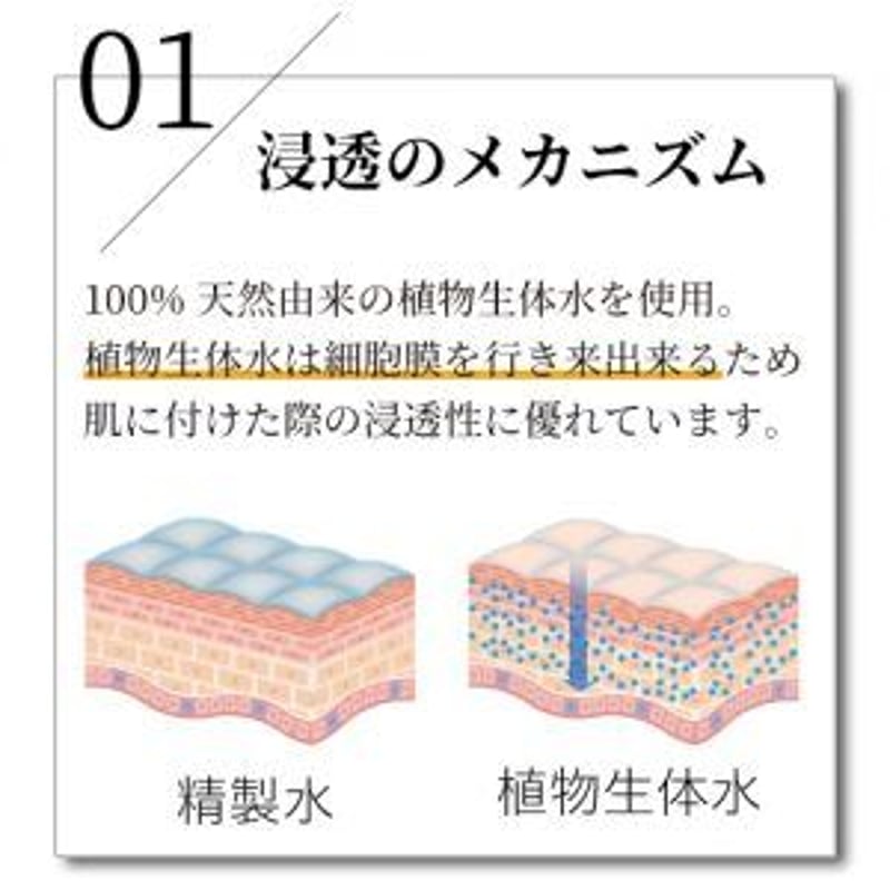 Arlavieクリーム [Brilliant Face Cream] 30g | MFC. shop