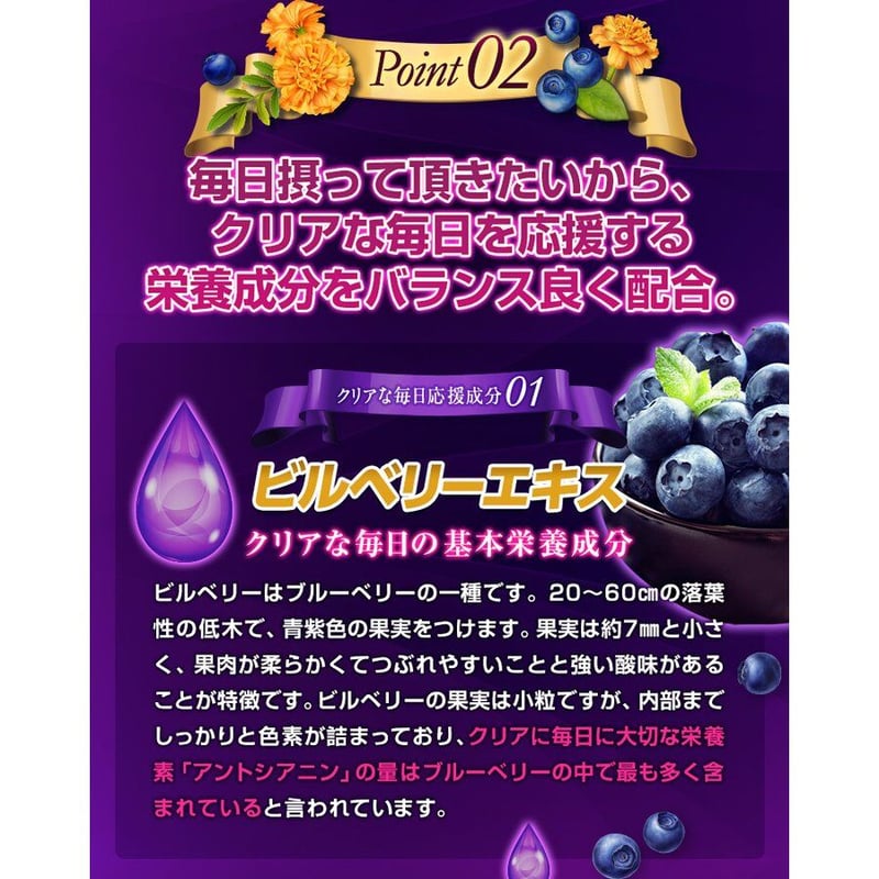 専用【新品】ルビーフィット ダイエット サプリメント ビューティーオンライン / ルビーフィット