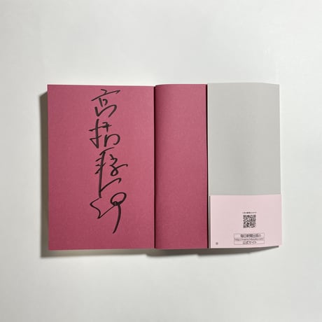 【公開講座動画＆コラム応募チケット付き、サイン本】 高橋源一郎『これは、アレだな』