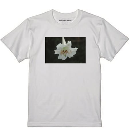 【渋谷PARCOポップアップ特別制作】片岡義男 フォトプリントTEE／各10枚限定