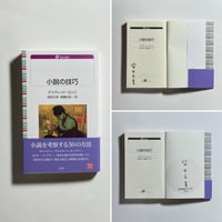 【サイン本】デイヴィッド・ロッジ (著)  柴田元幸, 斎藤兆史 (翻訳)『小説の技巧』