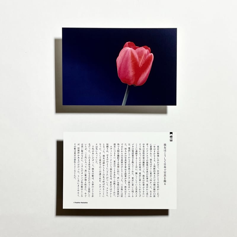 書き下ろし掌編付きポストカード5枚セット、為書き入りサイン本】片岡