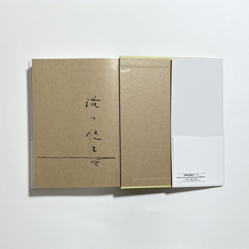 サイン本】滝口悠生『水平線』 | COTOGOTOBOOKS