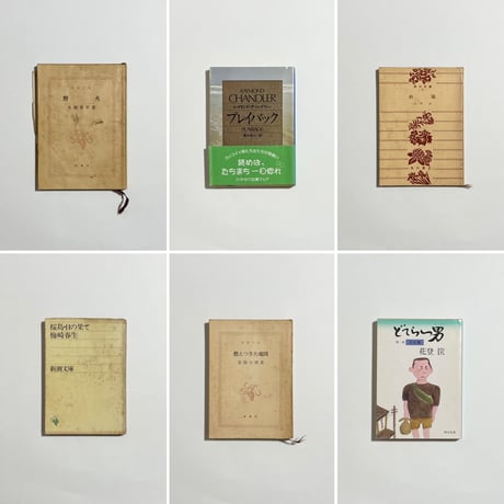 【蔵書印入り町田康蔵書＆サイン入りポストカード付き、他】町田康『私の文学史　なぜ俺はこんな人間になったのか？』