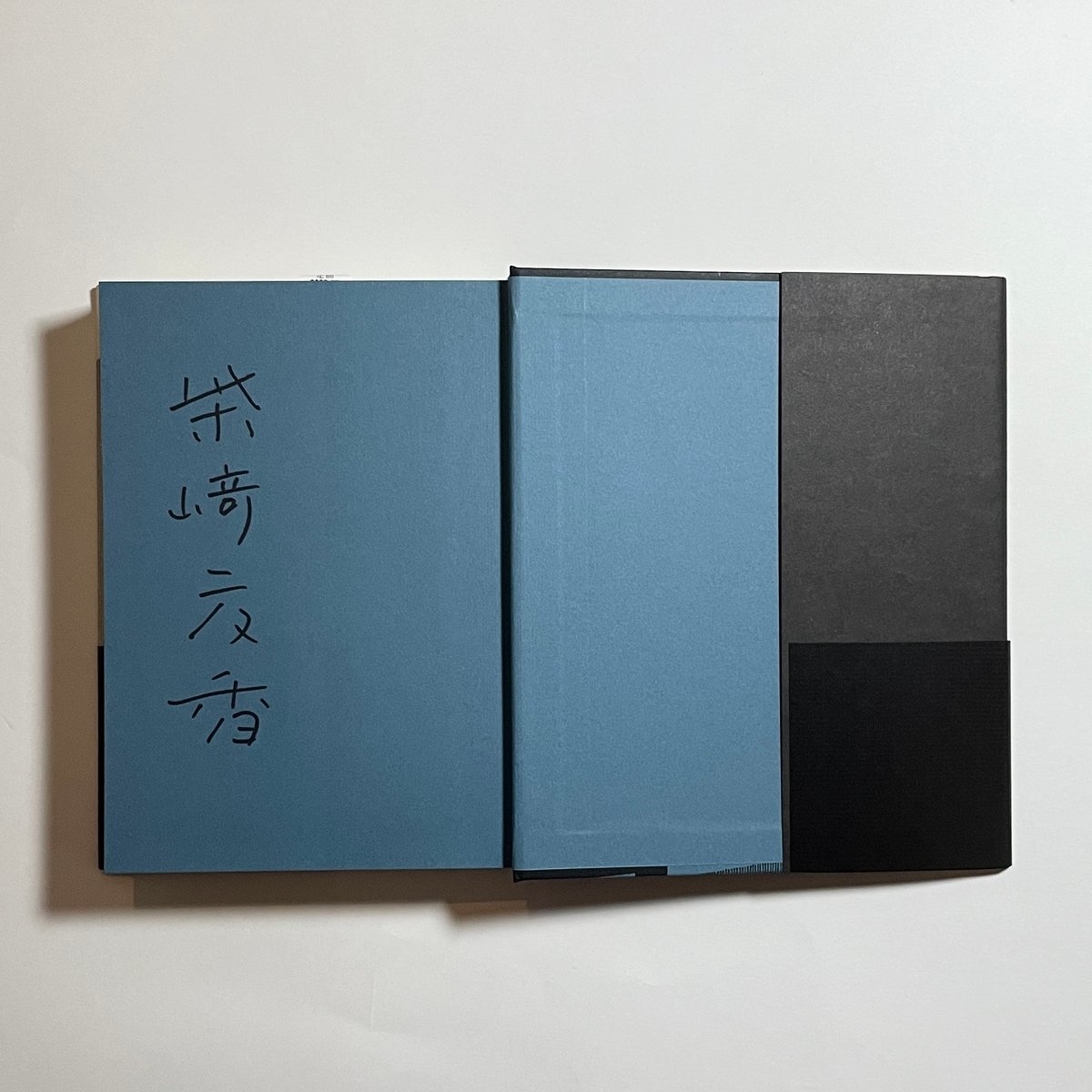 Diary サイン本 サイン本】柴崎友香『帰れない探偵』 | COTOGOTOBOOKS
