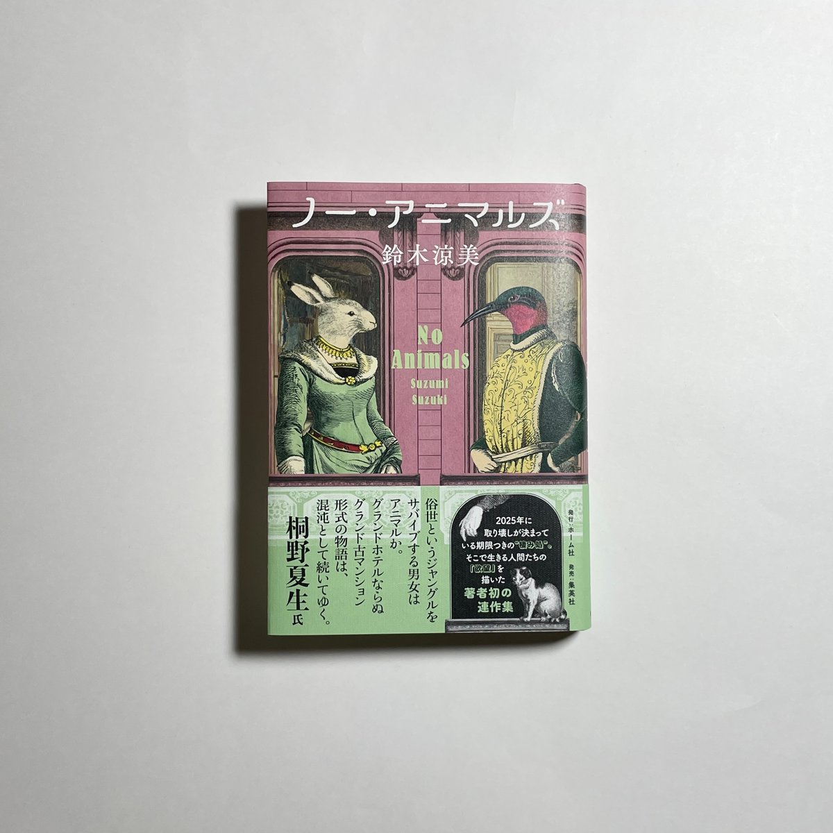 対談動画付き、為書き入りサイン本】鈴木涼美『ノー・アニマルズ