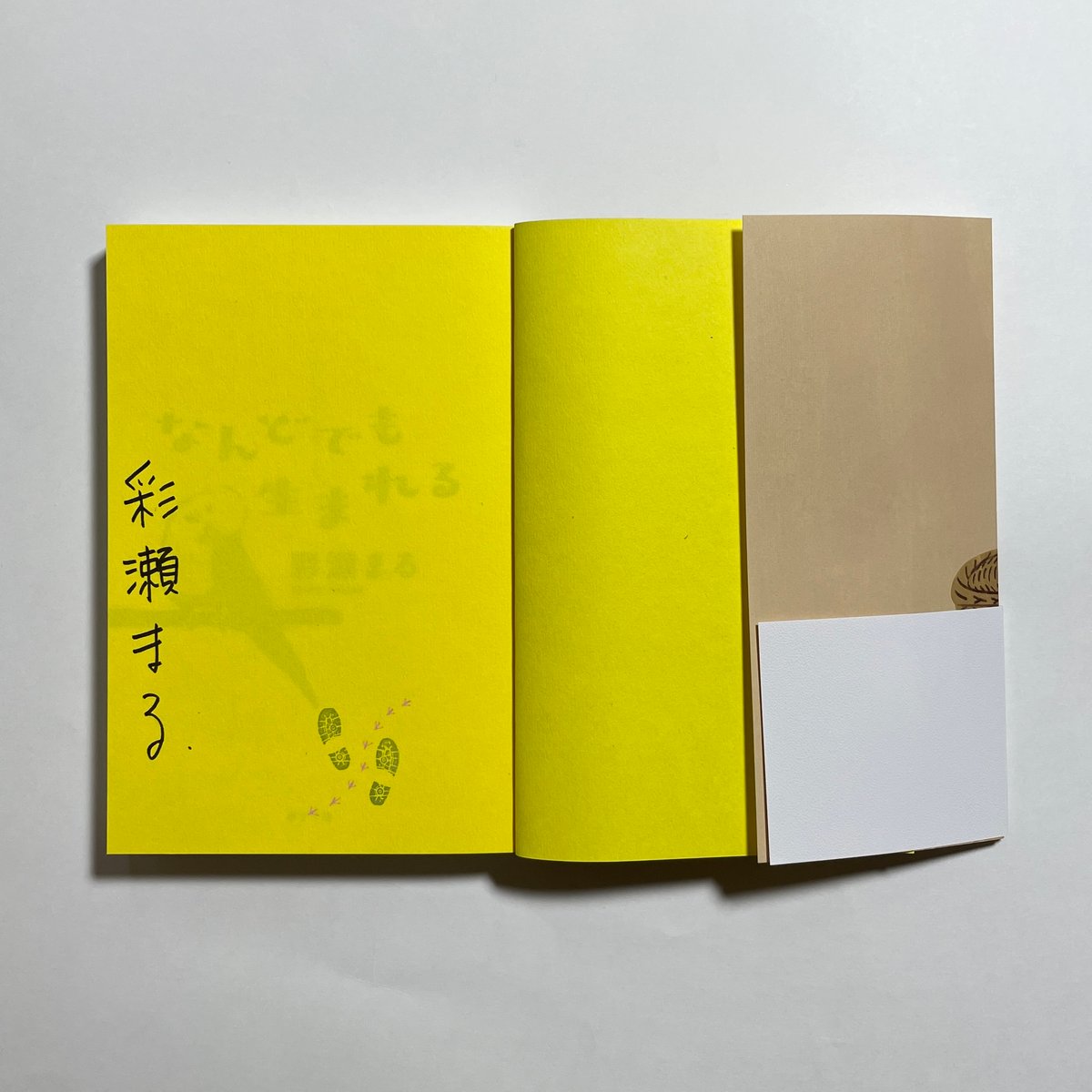 サイン本】彩瀬まる『なんどでも生まれる』 | COTOGOTOBOOKS