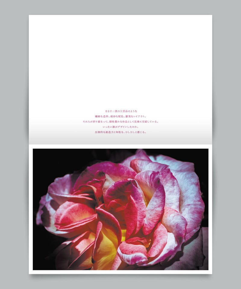 写真集「花美 3」 | PHOTOBOOK WOLF