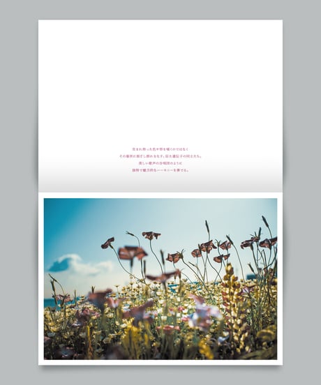 写真集「花美 2」