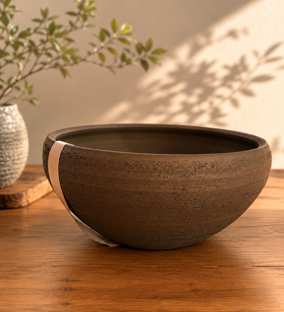 オニバス 三州みやび鉢 30φ (和・限定品) | Vivant Caudex