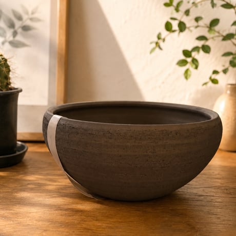 ITEM | Vivant Caudex