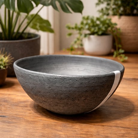 オニバス　みやび鉢　希少　黒肌 オニバス 三州みやび鉢 (和・限定品) | Vivant Caudex