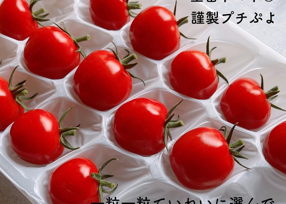 61a634303475ed588a127d69