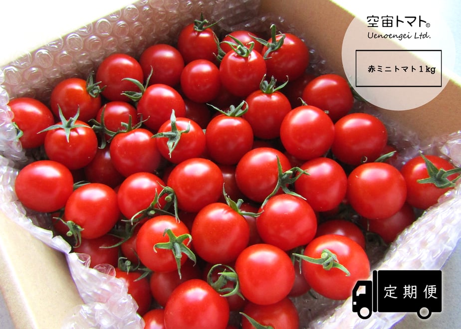 654c2d6477cfb71220447f51
