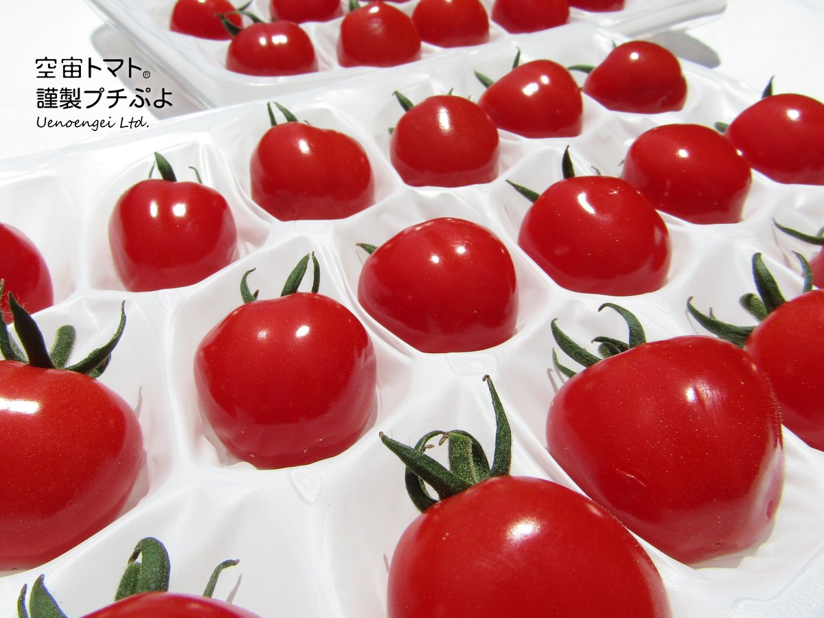 トマト様の専用ページ fit=scale-down,w=1200