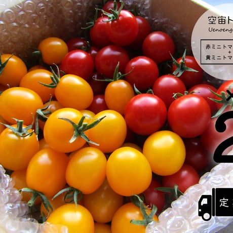 空宙トマト赤黄詰め合わせ１キロ×２箱（定期便：毎週）