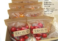 空宙®トマトおまかせセット