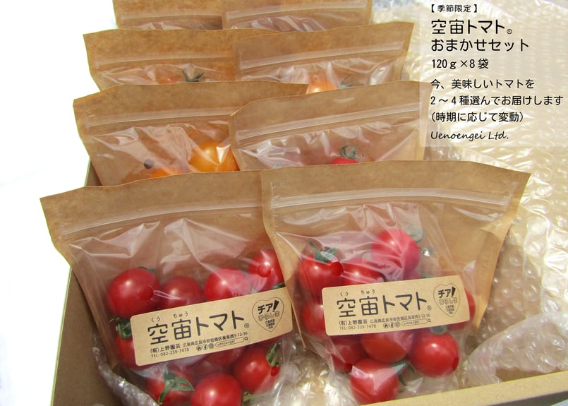 空宙トマト®おまかせセット | Uenoengei【上野園芸】online store
