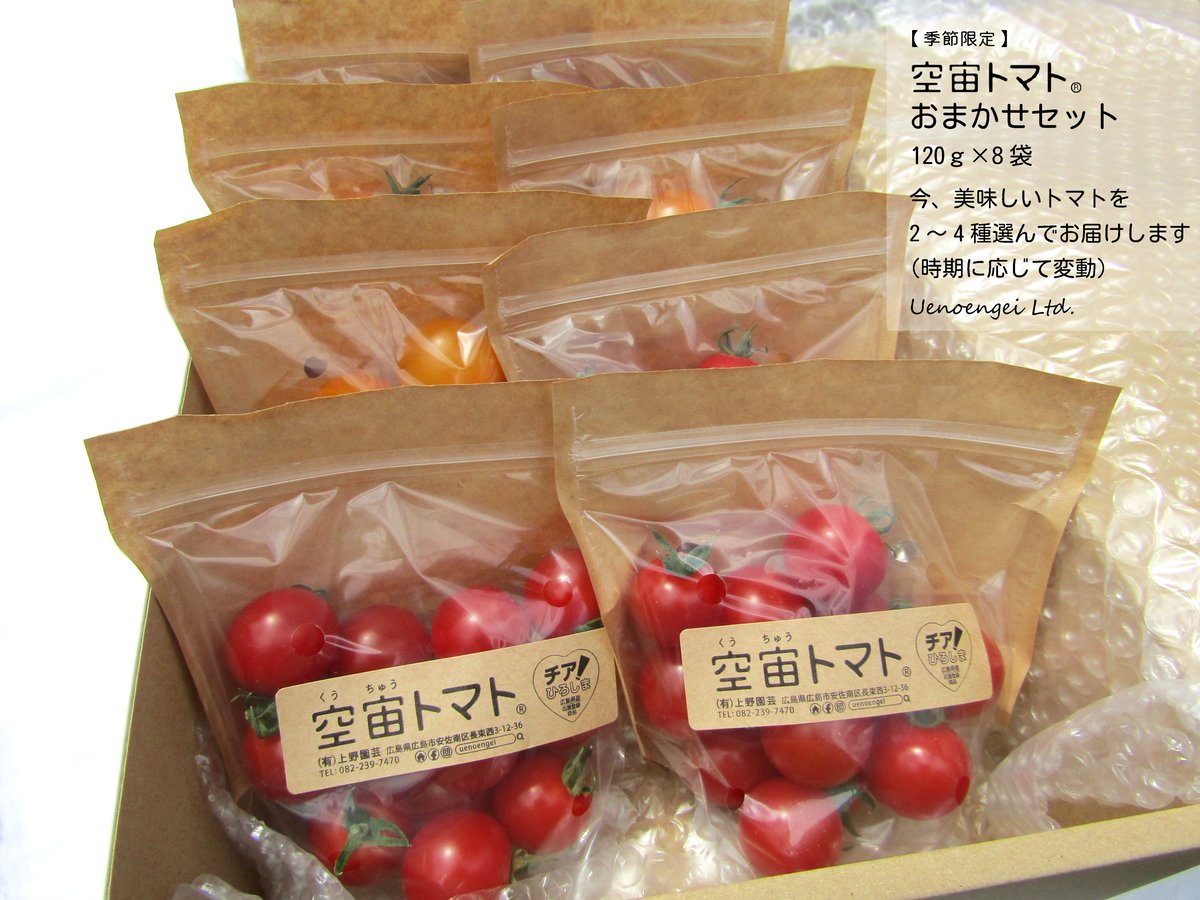 空宙トマト®おまかせセット | Uenoengei【上野園芸】online store