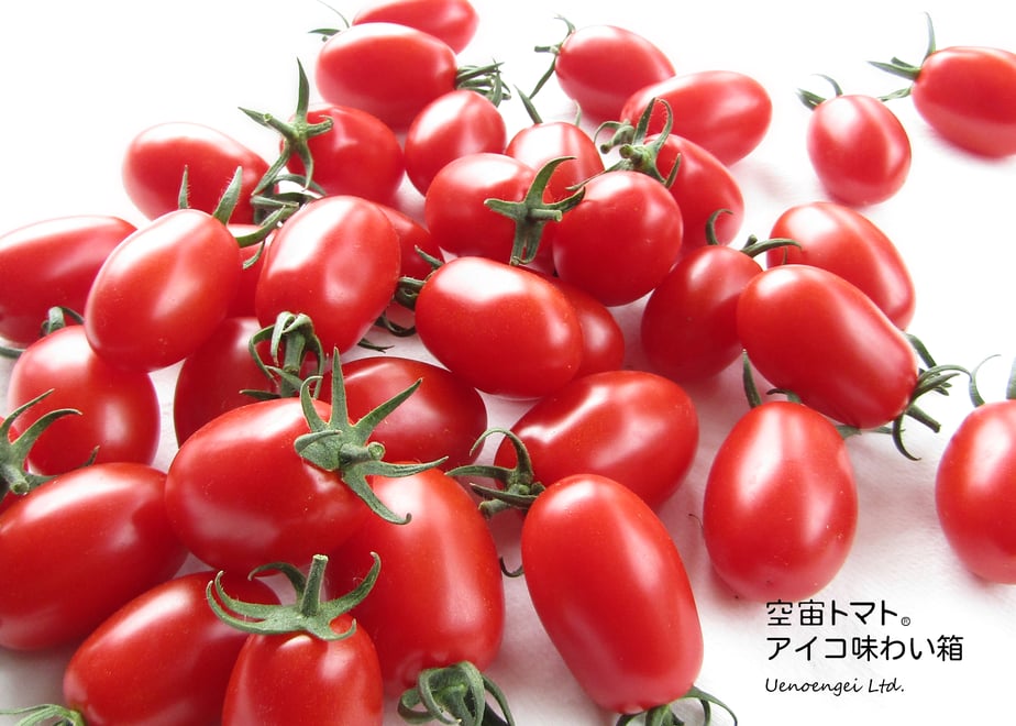 60d5d7bd59fc791a2950829f