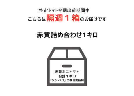 【2026春作定期便：隔週】空宙トマト赤黄詰め合わせ１キロ：割合変動制