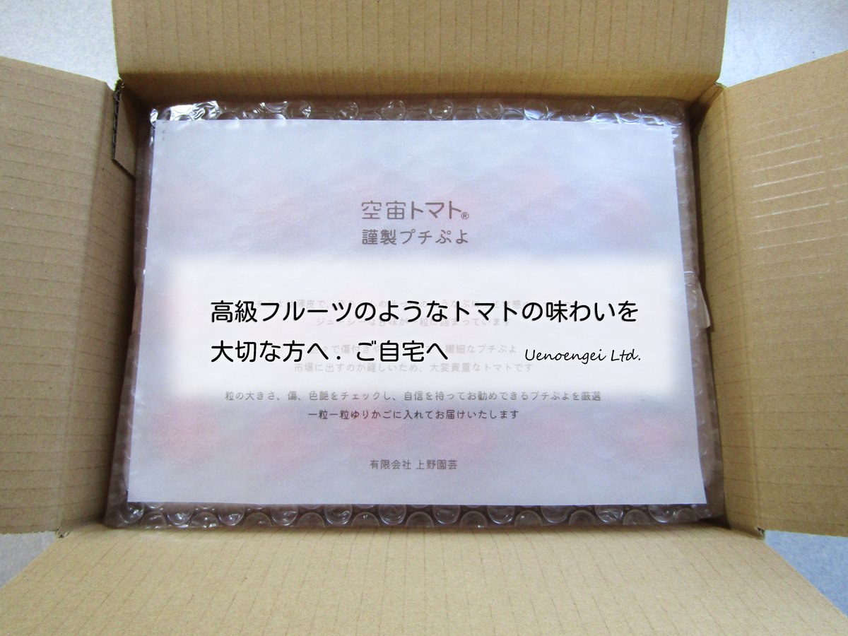 空宙トマト®謹製プチぷよ〈冷蔵便〉 | Uenoengei【上野園芸】online store