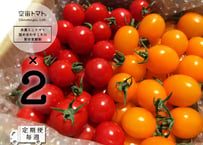 【2026春作定期便：毎週】空宙トマト赤黄詰め合わせ２キロ（１キロ×２箱）：割合変動制