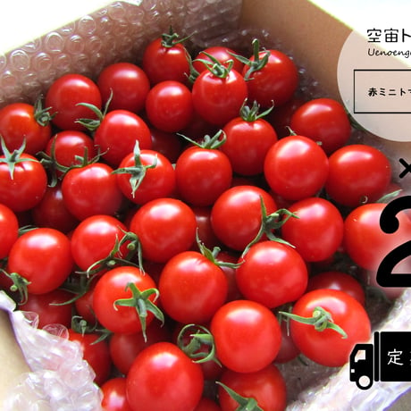 空宙トマト赤１キロ×２箱（定期便：毎週）