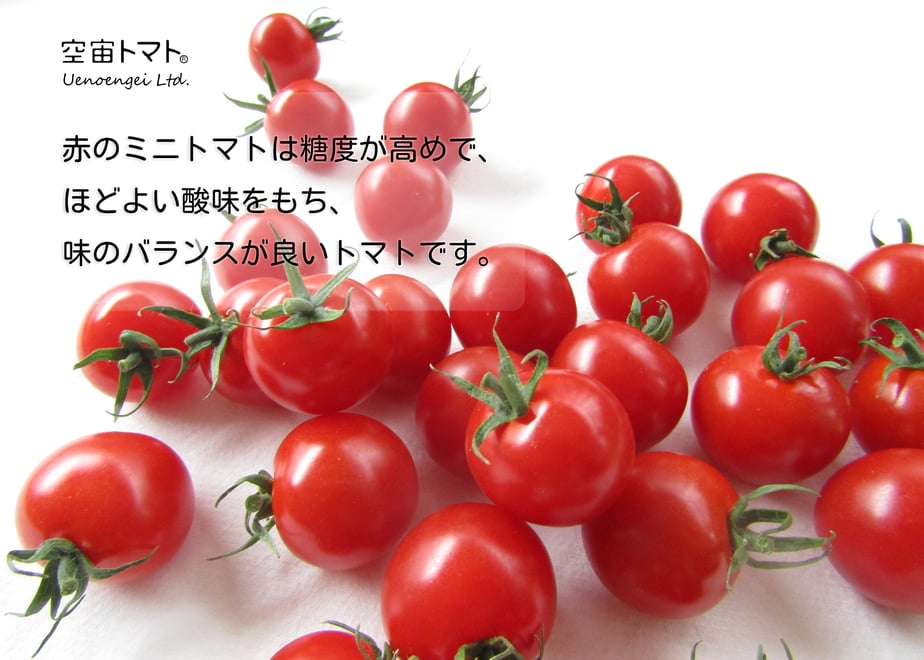 60daddf49bb16703cd4c50ef