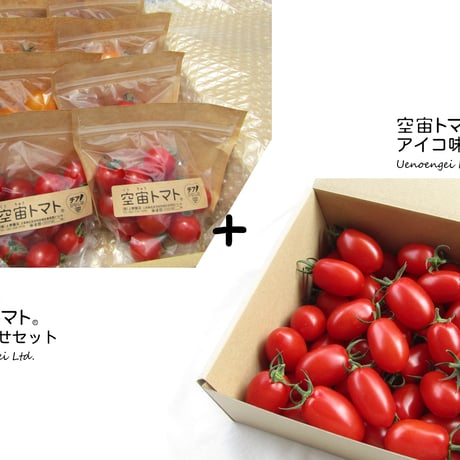 プッチトマト★ プッチトマト☆ Pa!CUTE - トマト、プチトマト｜Yahoo!ショッピング