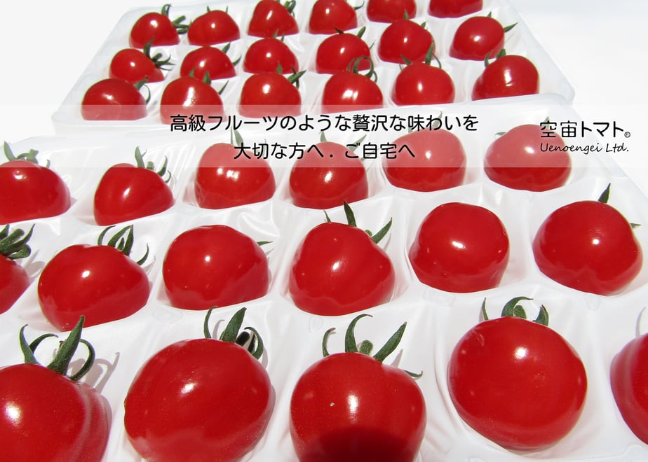61a634303475ed588a127d69