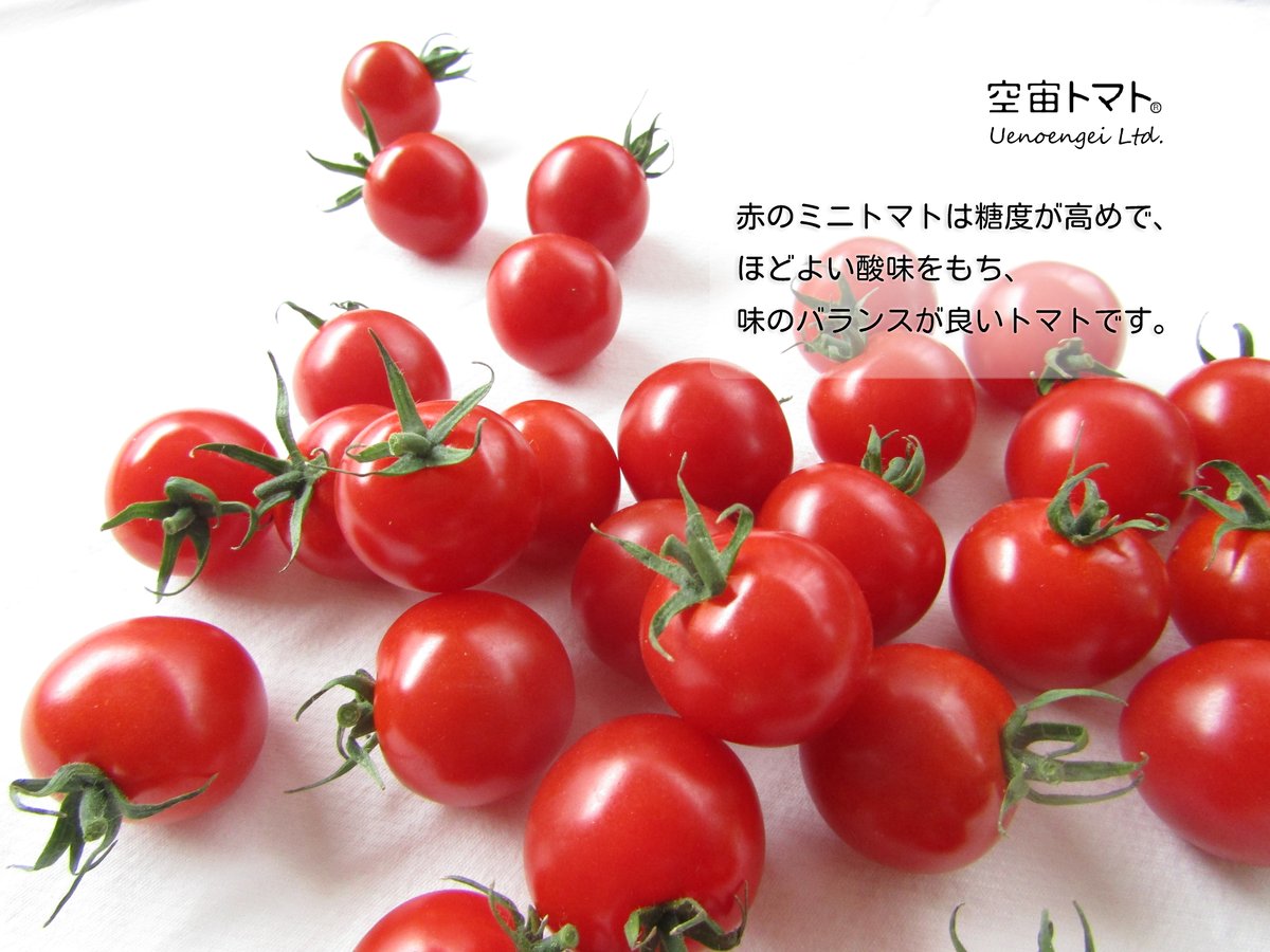 空宙トマト赤１キロ×２箱（定期便：毎週）　Uenoengei【上野園芸】online　store