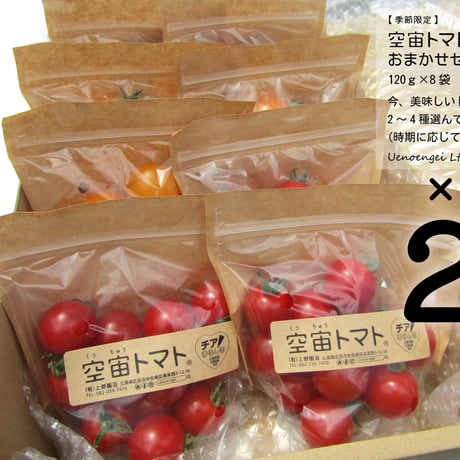 プチトマト | STORES