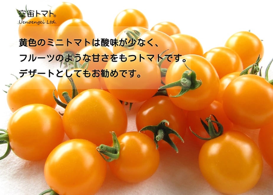 60daddf49bb16703cd4c50ef