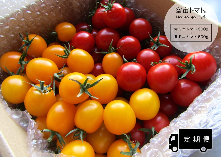 654c29384be9ef002edb1040