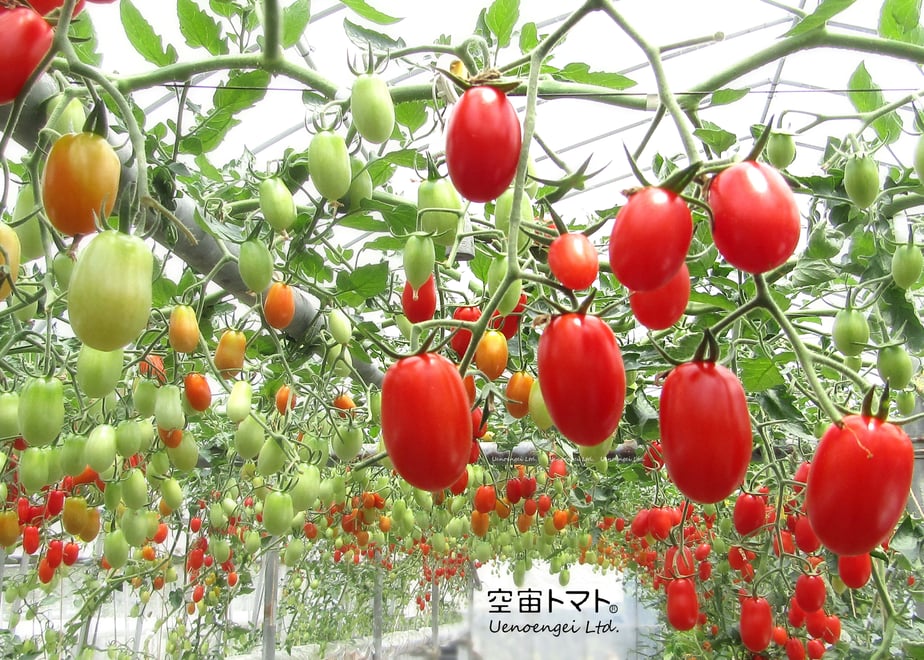 60d5d7bd59fc791a2950829f