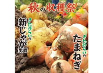 北海道　秋の収穫祭　新じゃがいも（男爵）Lサイズ優良5kg＋たまねぎLサイズ優良5kg　合計10kg　アソート
