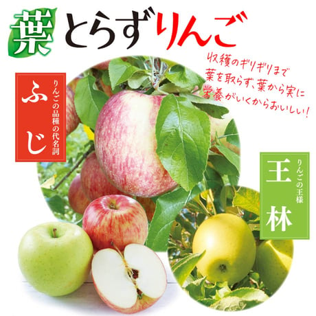 JAつがる弘前　葉とらずりんご ふじ・王林食べ比べセット（2箱約6kg）