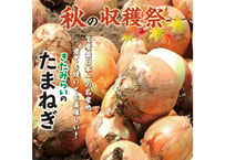 北海道　秋の収穫祭　たまねぎ　5kg　Lサイズ優良（約20～25個）