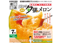 産地直送・数量限定　訳あり夕張メロン３kg