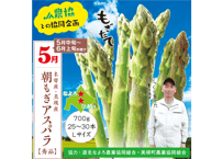 JA協同企画 朝もぎアスパラ【秀品】700g(25本～30本）